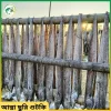 প্রিমিয়াম মাঝারি ছুরি শুটকি - Image 3